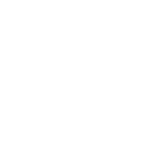 budget-1