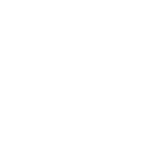 parsons